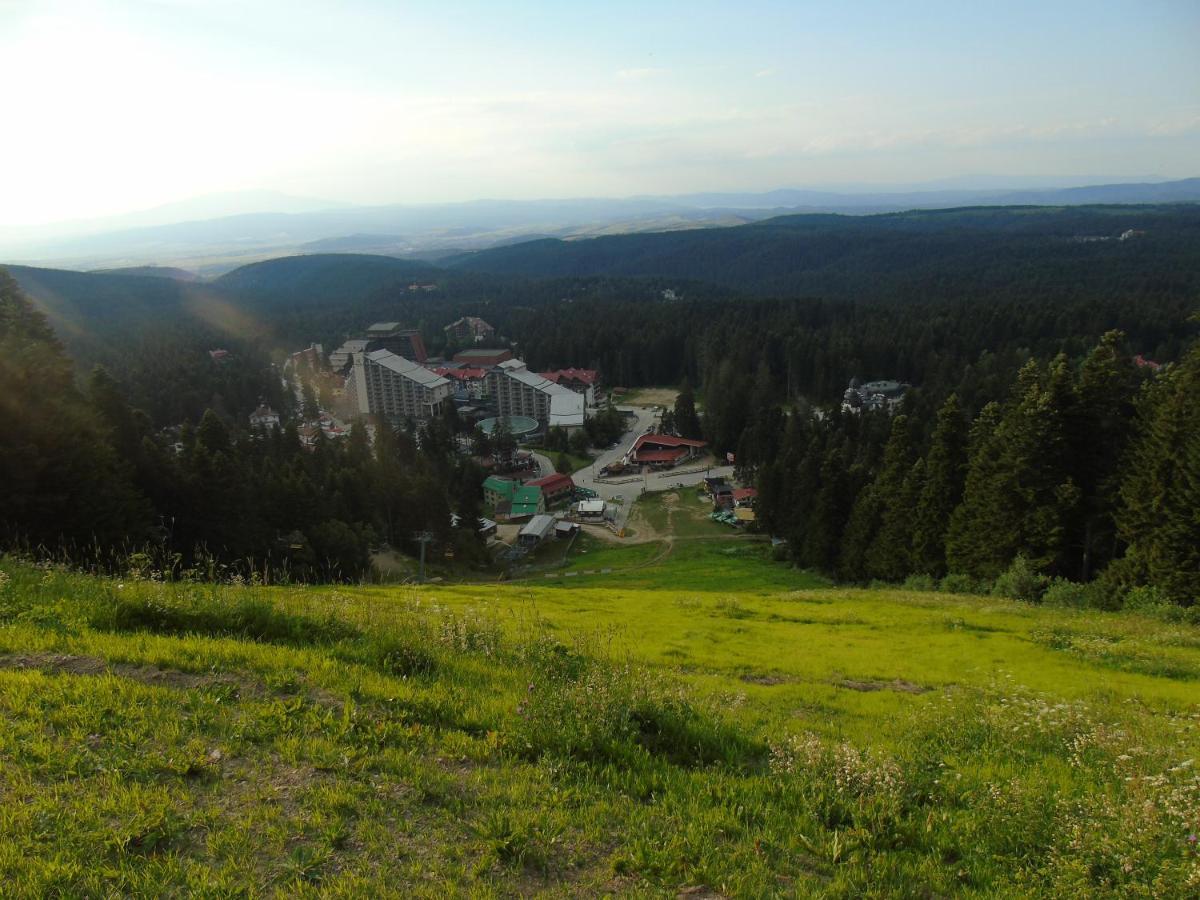 Хотел Флора Private Studio All Seasons Apartamento Borovets Exterior foto